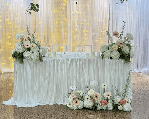 Markovina Estate Grand Open Day