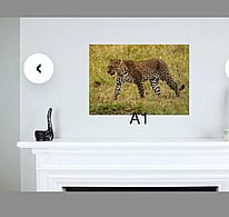 A1 landscape photo above a fireplace.