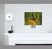 A2 landscape photo placed on the wall above the fireplace.
