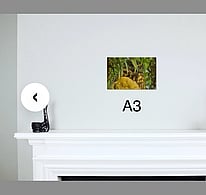 A3 landscape photo on the wall above the fireplace