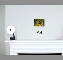 A4 landscape fine art photograph placed on wall above fireplace