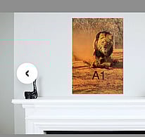 A1 portrait photo on the wall above a fireplace