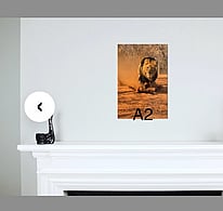A2 portrait photo on the wall above a fireplace.