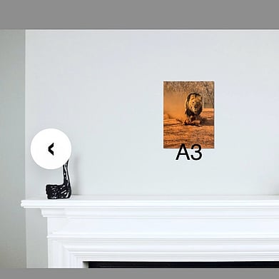 A3 portrait photo placed on the wall above a fireplace.