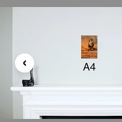 A4 portrait photo on the wall above a fireplace.