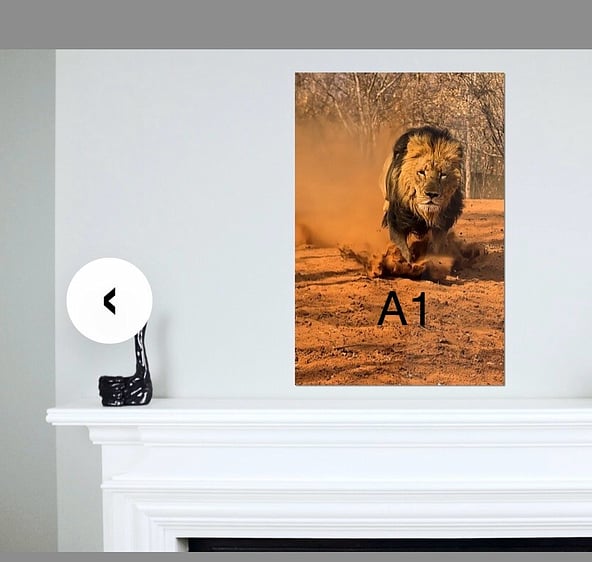 Which size fine art photograph would you need or want. Each photo in the gallery gives you an idea of what each size portrait will look like on the wall.