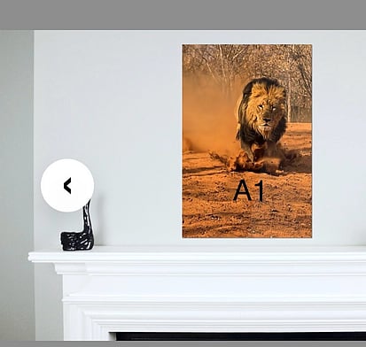 Which size fine art photograph would you need or want. Each photo in the gallery gives you an idea of what each size portrait will look like on the wall.