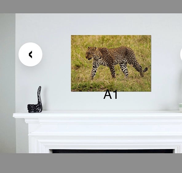 Which size fine art photo would best suit your needs. A1 to A4 size photos on walls for perspective comparision.