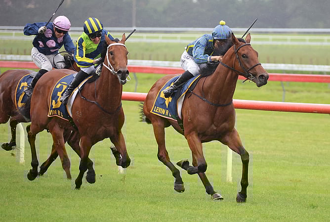 Ammirati (Matt Cartwright) confirms his New Zealand Derby credentials with a dominant win in the Gingernuts Salver at Ellerslie.  - Photo: Kenton Wright (Race Images)