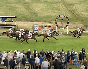 Congratulations to All Connections After Steezy&rsquo;s Impressive Kumara Victory