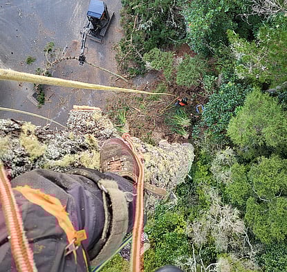 Eco-friendly site preparation for sustainable and efficient land development.