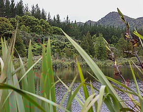 Pānui 12 | Hakihea December 2025