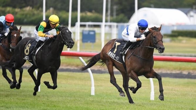 Group One winner Savaglee.  - Photo: Peter Rubery (Race Images)