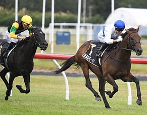 Savaglee camp contemplating first-up targets