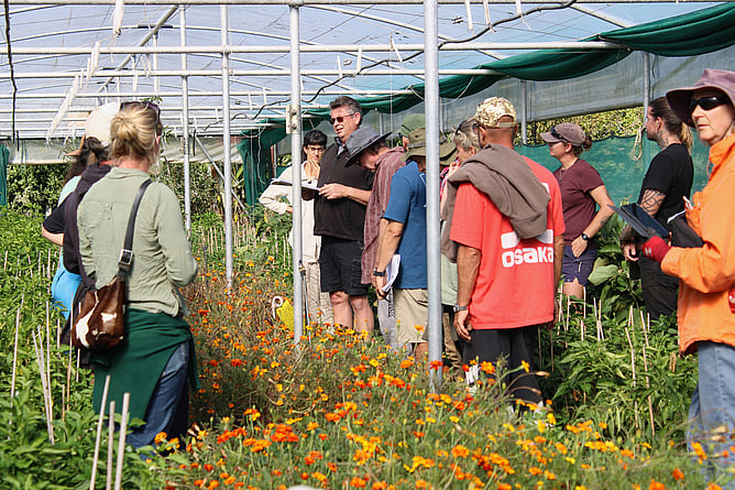 Image of members of the Earthworkers teaching growers biology-first regenerative growing. New Zealand.