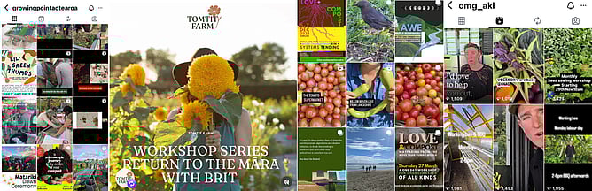 A collection of social media feeds from alumni farms and gardens participating in Earthworkers regenerative education pathway. New Zealand.