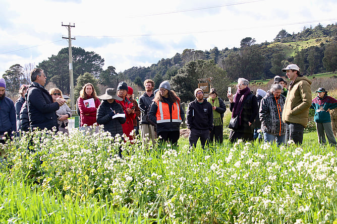Image of members of the Earthworkers teaching growers biology-first regenerative growing. New Zealand.
