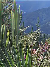 Consistency Matters More Than Intensity - Especially in Recovery