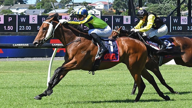 Ammirati (Matt Cartwright) confirms his New Zealand Derby credentials with a dominant win in the Gingernuts Salver at Ellerslie. - Photo: Kenton Wright (Race Images)