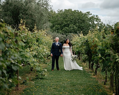 Markovina Estate Grand Open Day Aduna Studios