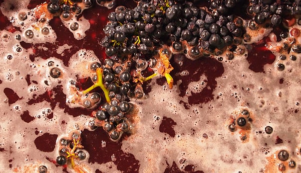 Wine of the week - 2025 Mason Ros&eacute;