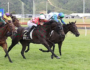 James and Wellwood quinella Desert Gold Stakes