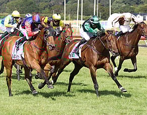 Feature win just what the Doctor ordered