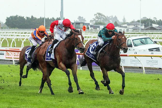 Romanoff (inside) beating Affirmative Action in last month's Gr.1 New Zealand 2000 Guineas (1600m) at Riccarton.  - Photo: Race Images South