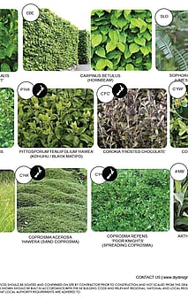 Garden design with labelled plant palettes for plant ID