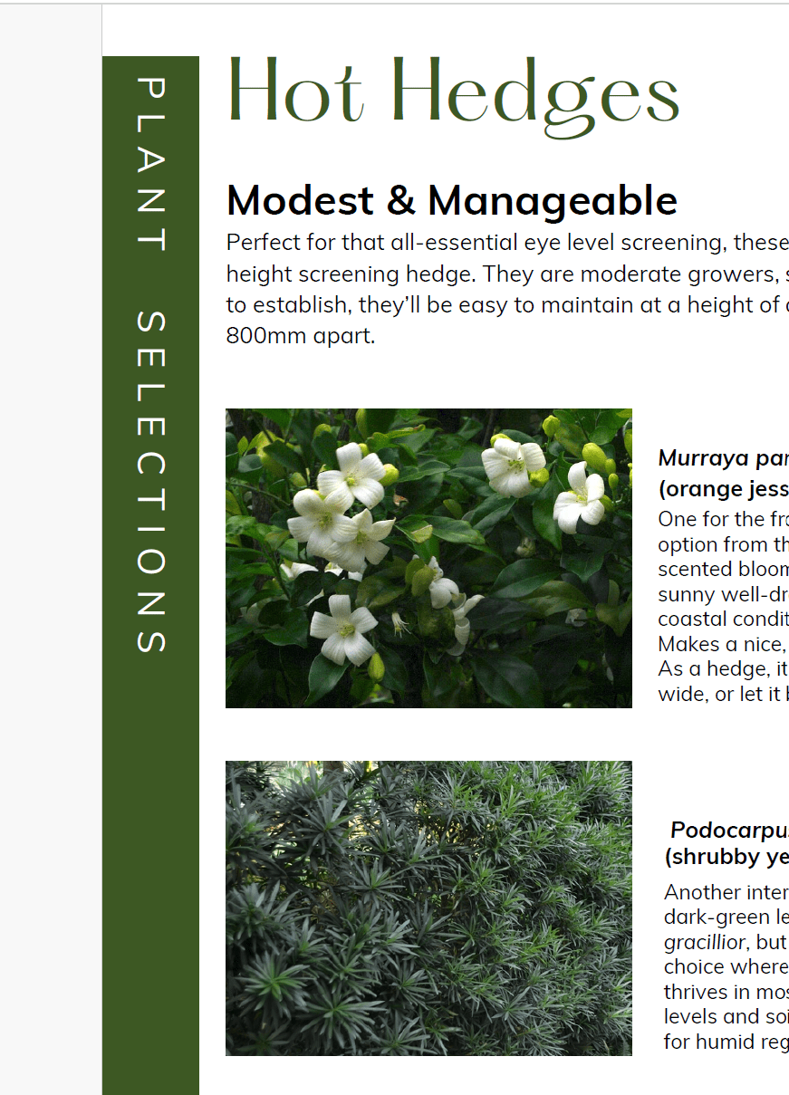 Hedges And Screening Plants Guide | Garden eBook | DIY Designs