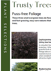 SMALL TREE SELECTIONS - Avoid mistakes with a descriptive  selection guide of 10+ trusty trees well suited for the smaller garden