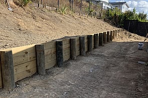 Undeveloped garden before planting