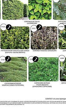 Garden design with labelled plant palettes for plant ID