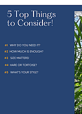 DESIGN THINKING - Unlock your inner designer with an informative overview of the what, why & how of screening plants