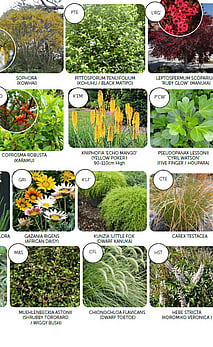 Labelled palettes for easy plant ID & placement
