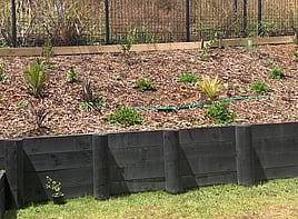 Fully planted garden from design