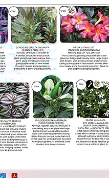 Informative labelled palettes for easy plant ID and info