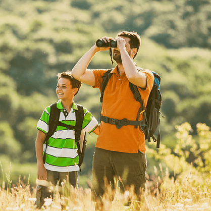 accountants in stafford