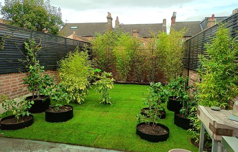 Garden Landscaping. - Fencing, Turfing and Planting.Image 3