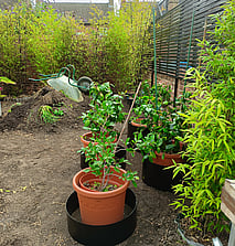 Picture shows landscaping works underway for the Howbury project, a complete landscape package for a Bedford Client.