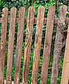Picket Fencing