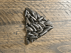 SEO TALK @ THE NATURAL & ORGANIC TRADE SHOW 2023 - > Watch Video