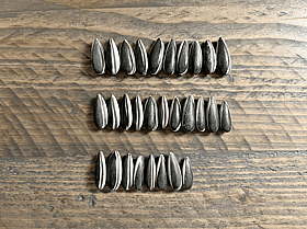 DIRECT TO CONSUMER (D2C) SEO FOR DECISION MAKERS - > Read Article