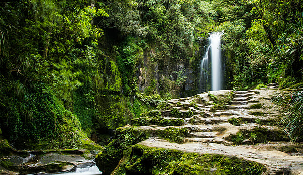 Why doing nothing is sometimes the right financial decision