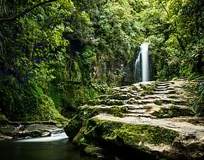 Why doing nothing is sometimes the right financial decision