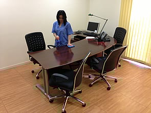 LIMPIEZA OFICINAS Y EQUIPOS INFORM&Aacute;TICOS