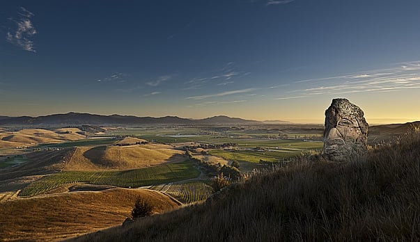 A wine Odyssey with Rebecca Salmond