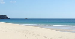 APARTMENT check calendar & book here