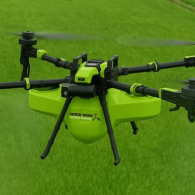 people working in forrest