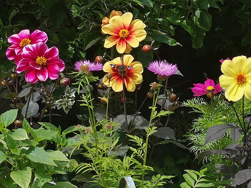 Bespoke Planting Schemes